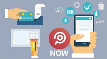 探索網(wǎng)絡(luò)技術(shù)服務(wù)中的多種支付方式